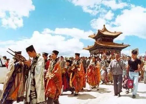 究竟属马人养什么花旺财 家里里养这些花 财运旺到不行