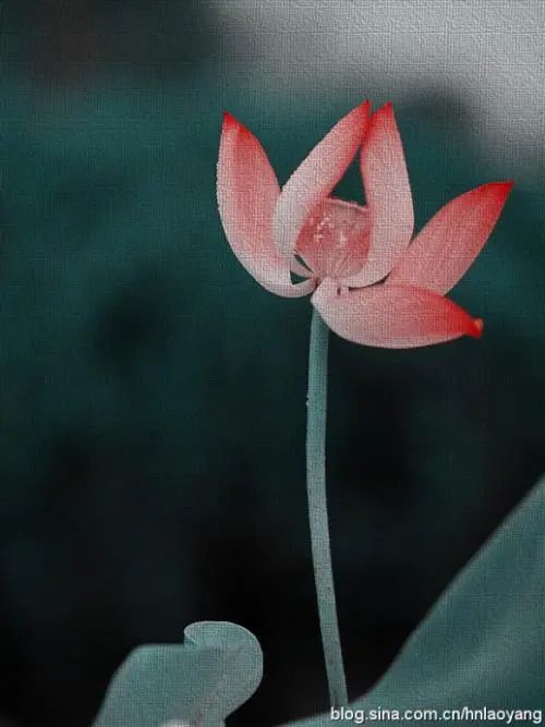 可以让佛家的师傅给超度婴灵吗 , 抄经书给堕胎婴灵回向文